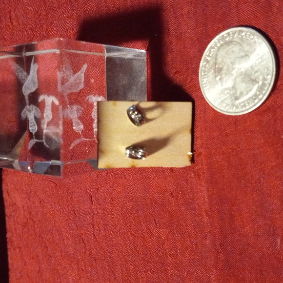 Laser cut Monstera leaf posted earrings - Picture 2 of 2